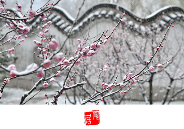 致敬!美丽中国的守望者:beat365官网中文(图1) 致敬!美丽中国的守望者:beat365官网中文(图1)