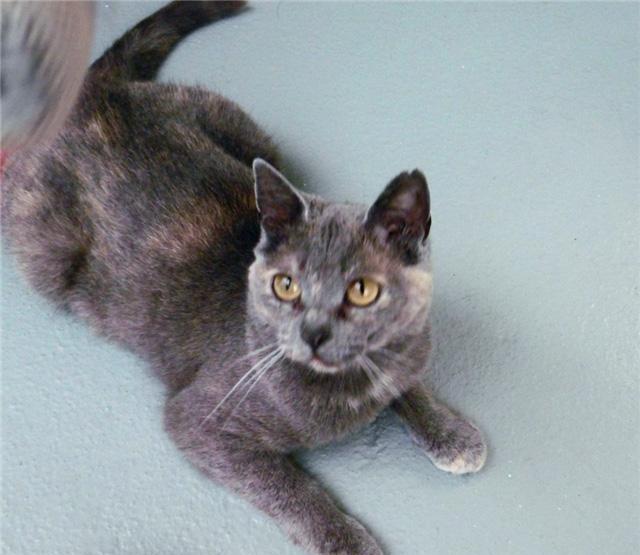 国务院常务会议决定对污染防治第三方企业减按15%税率征收所得税|beat365(图2)