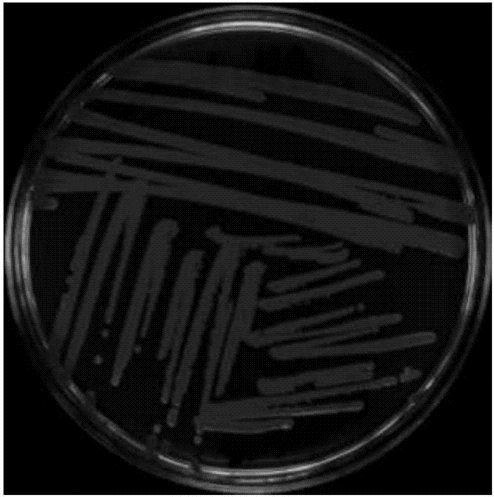 beat365官网中文_牺牲环境换经济增长？这个念头不能有！(图2)